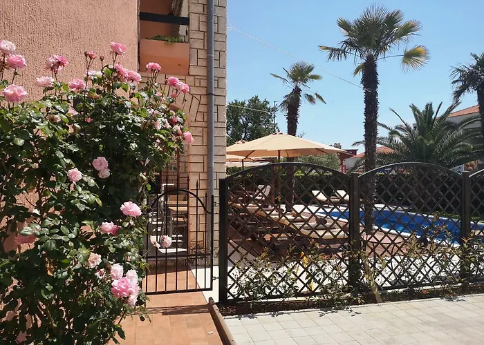 Anita Medulin